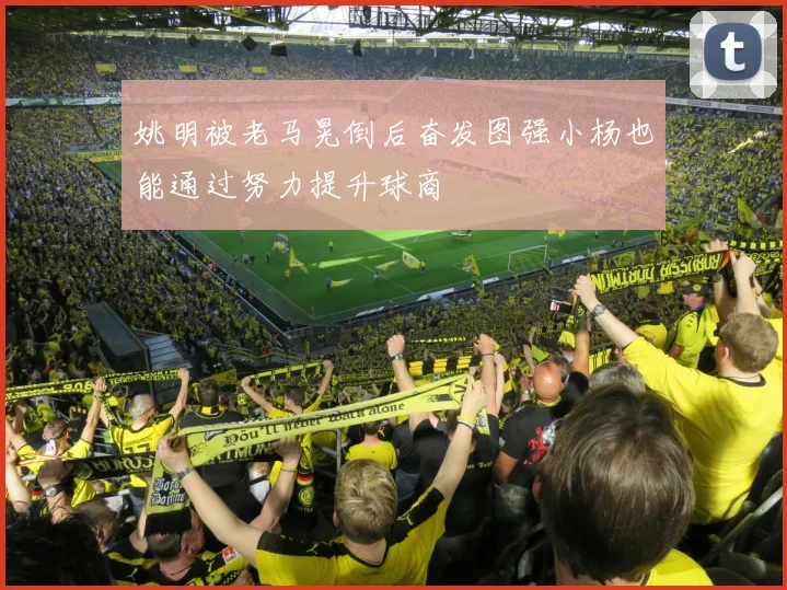 姚明被老马晃倒后奋发图强小杨也能通过努力提升球商